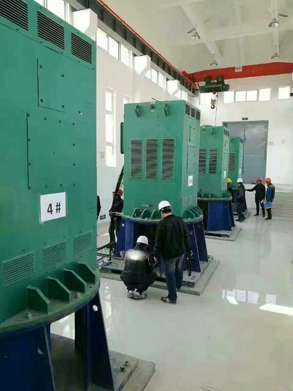 YKK4002-2-220KW某污水处理厂使用我厂的立式高压电机安装现场